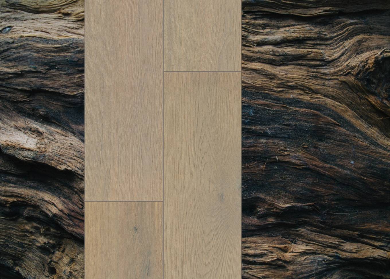 Wood Texture