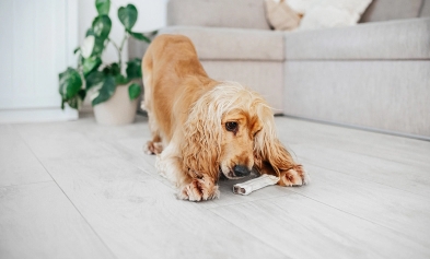 Scratch and Resistance