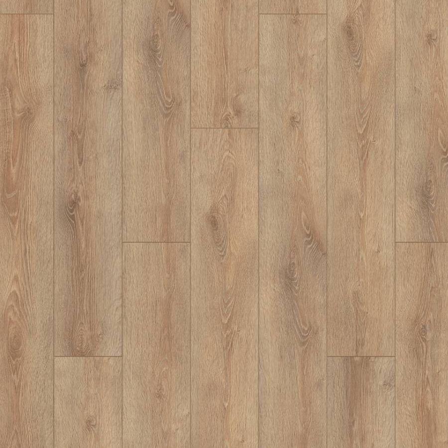 Clearwater Oak, GT, 8 mm, Standard Plank