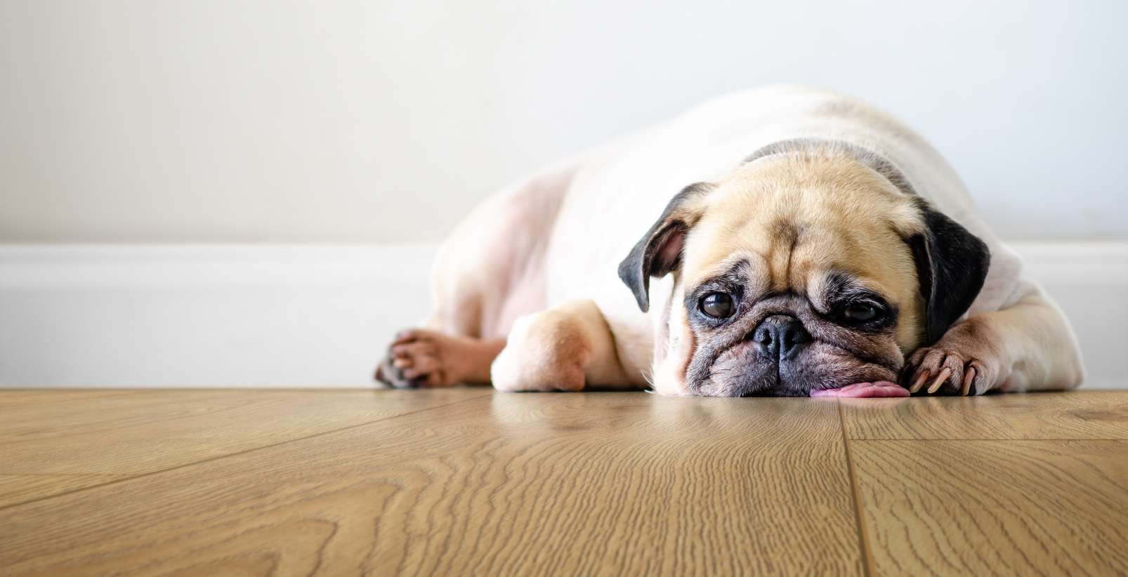 Sundance Oak, RO, 8 mm, Standard Plank - Room Scene
