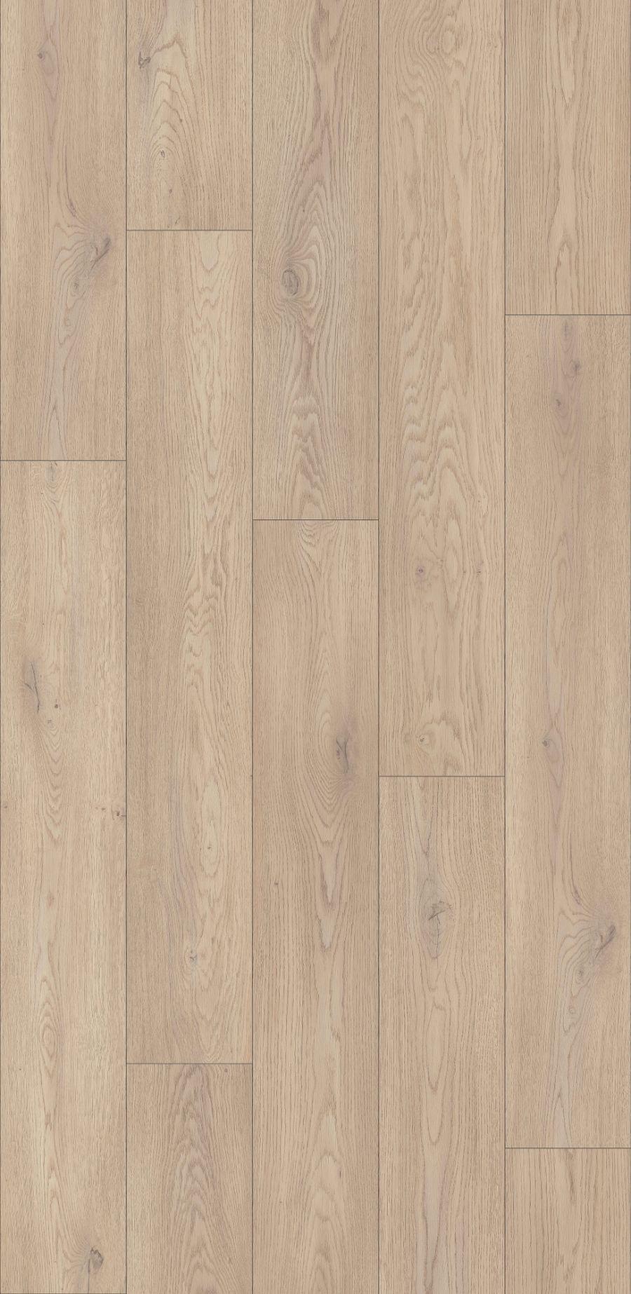 Cotta Cremona Oak, MW, 8 mm, Standard Plank