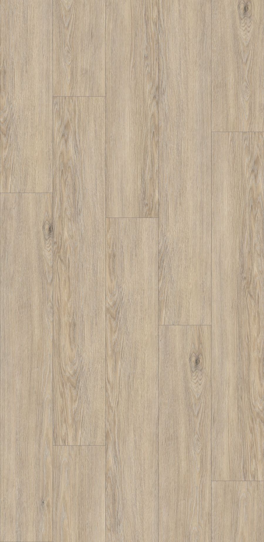 Greige Palais Oak, MW, 8 mm, Standard Plank