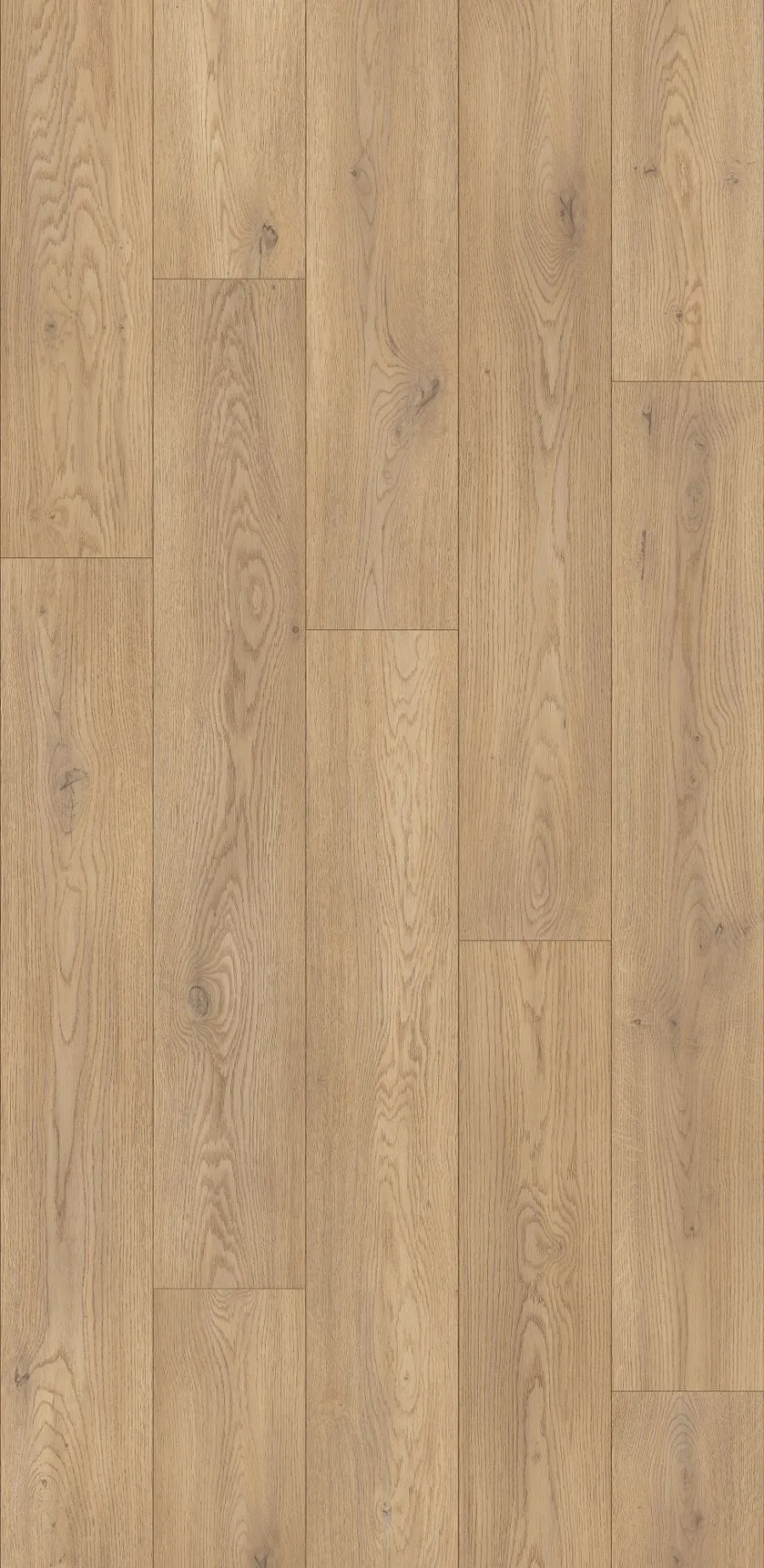 Torro Cremona Oak, MW, 8 mm, Standard Plank