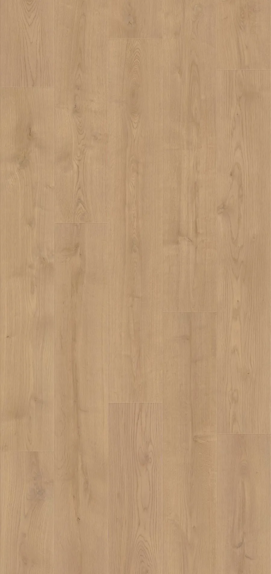Avola Sarocco Oak, SC, 8.5 mm, Standard Plank