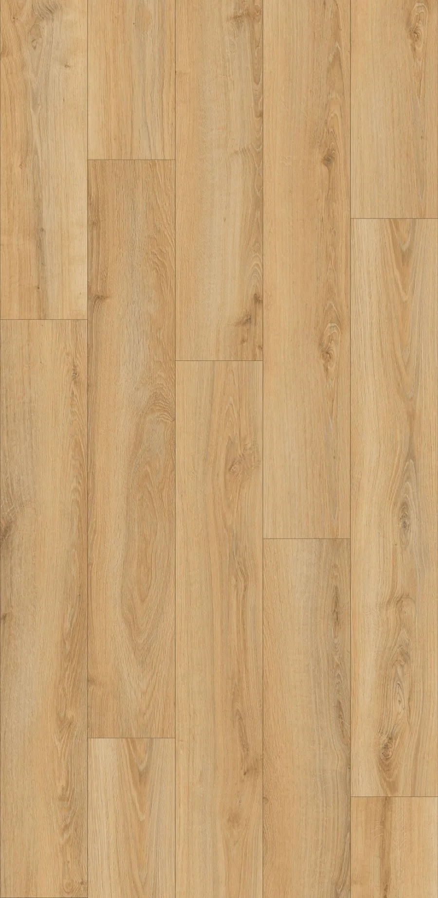 Beige Parioli Oak, MW, 8 mm, Standard Plank