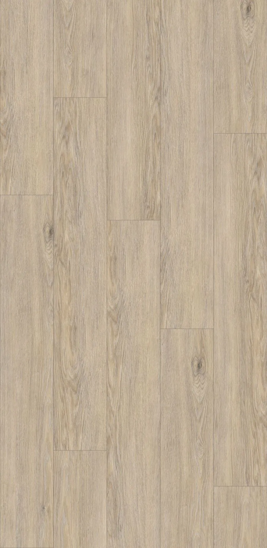Greige Palais Oak, MW, 8 mm, Standard Plank